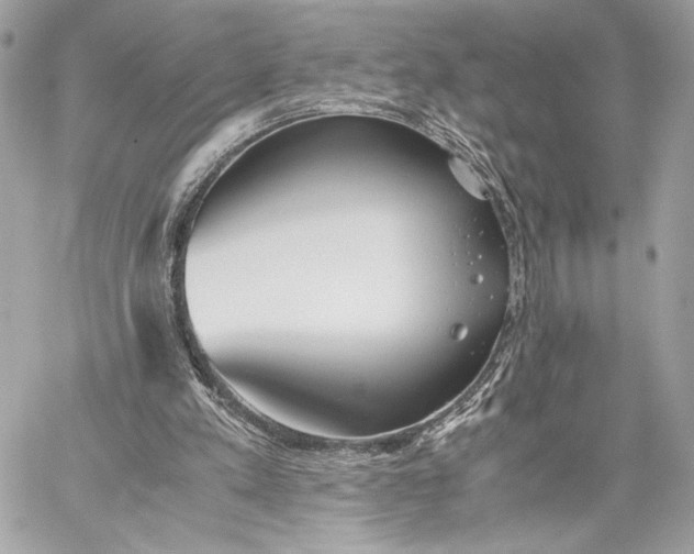 X0000059800197200511111610