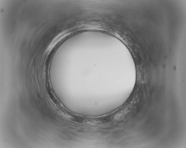 X0000059800199200511111610