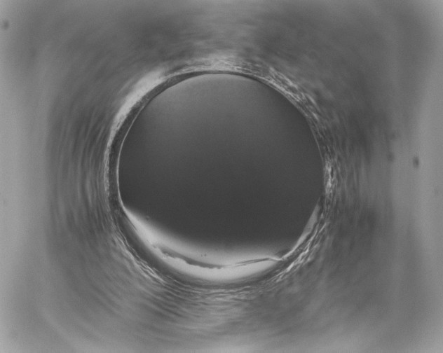 X0000059800200200511111610