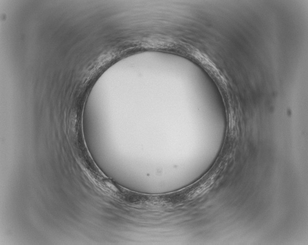 X0000059800201200511111610