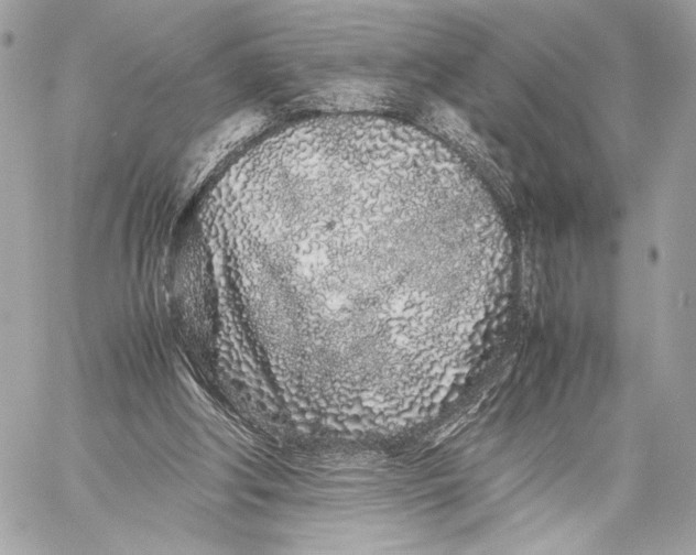 X0000059800202200511111610