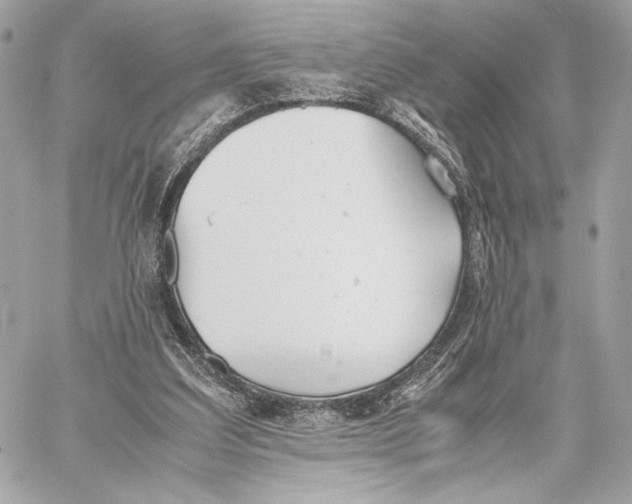 X0000059800203200511111609