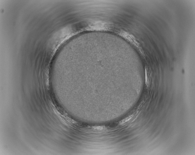 X0000059800204200511111609