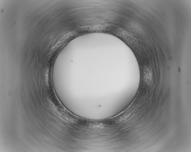 X0000059800206200511111609