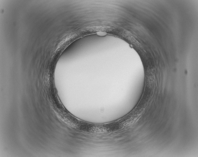 X0000059800207200511111609