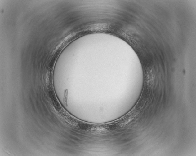 X0000059800208200511111609