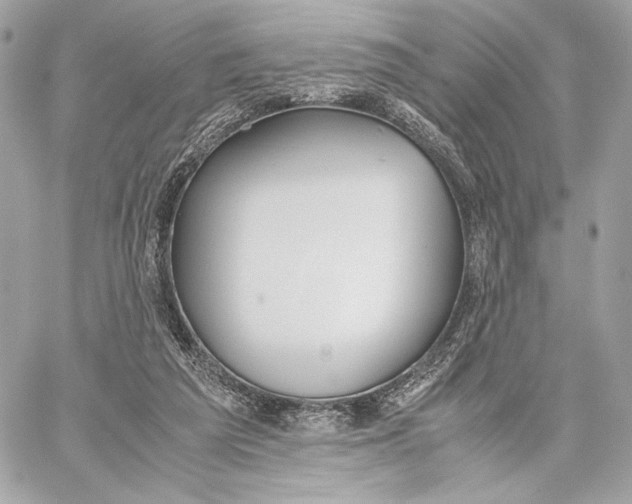 X0000059800209200511111609