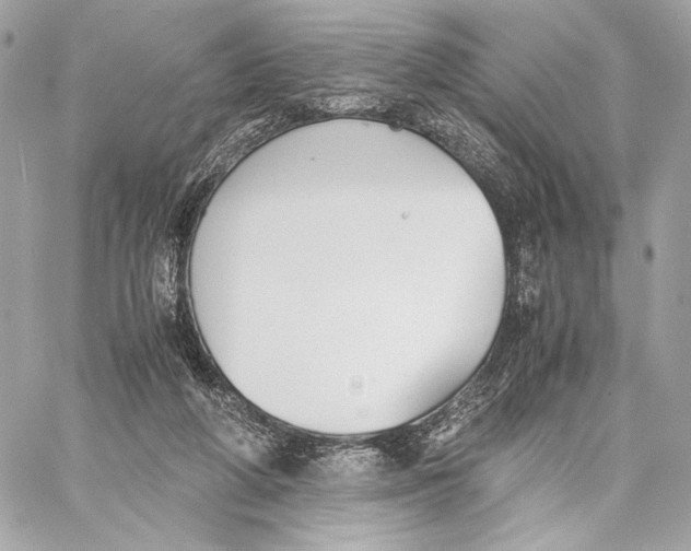 X0000059800210200511111609