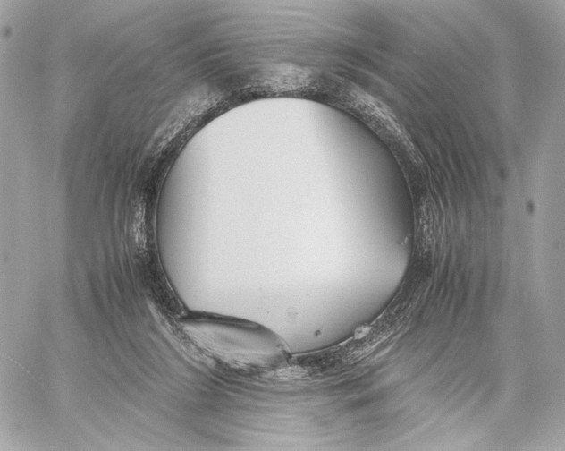 X0000059800212200511111609