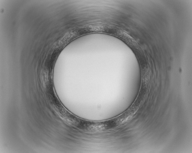 X0000059800213200511111609