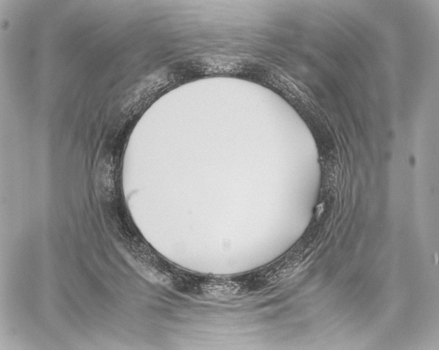 X0000059800215200511111609