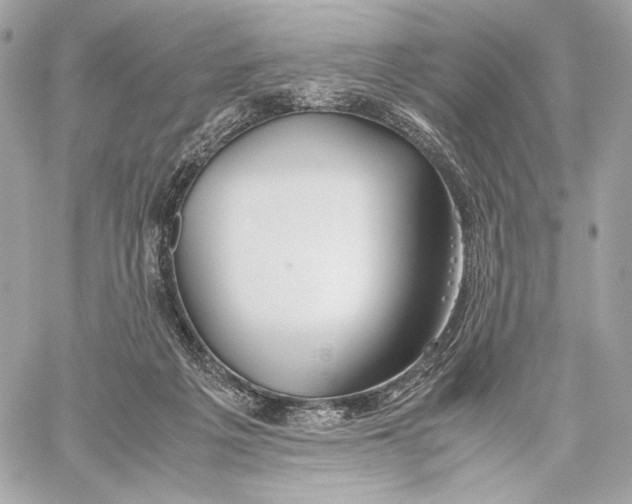 X0000059800217200511111609