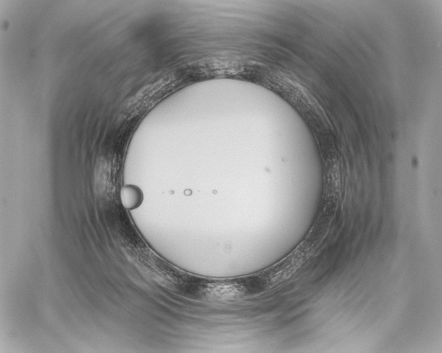 X0000059800218200511111609