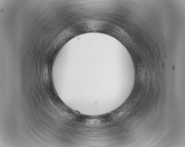 X0000059800220200511111609