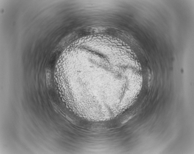 X0000059800222200511111609