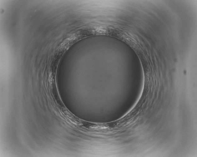 X0000059800223200511111609