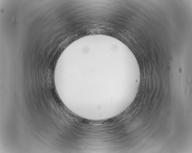 X0000059800228200511111609