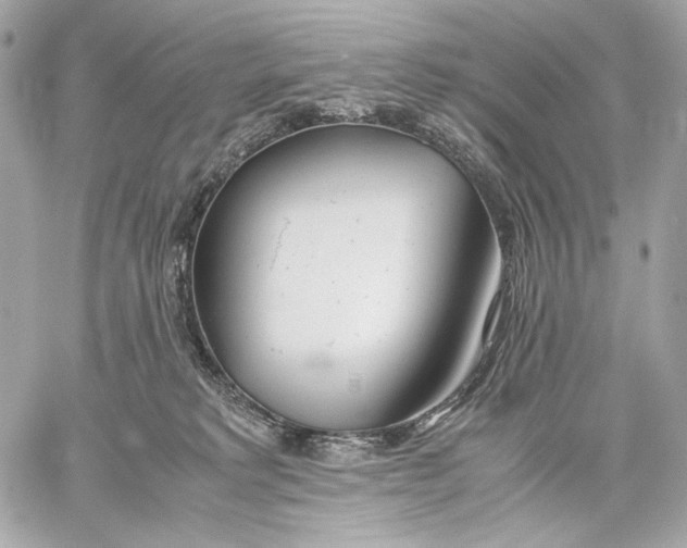 X0000059800229200511111609