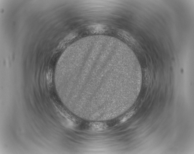 X0000059800230200511111609