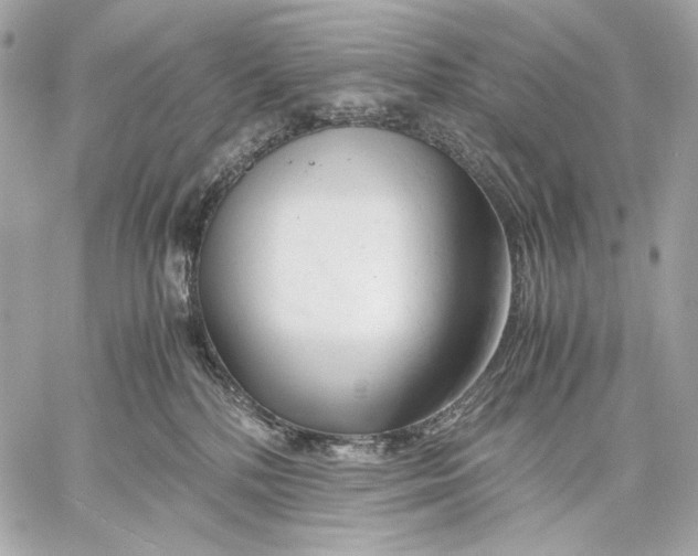 X0000059800232200511111609