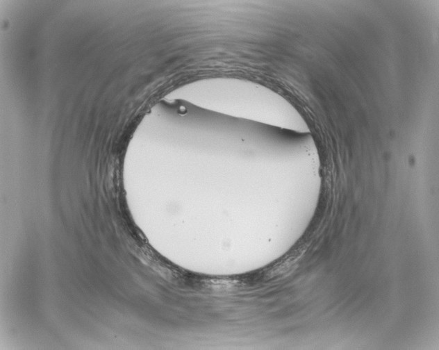 X0000059800233200511111609