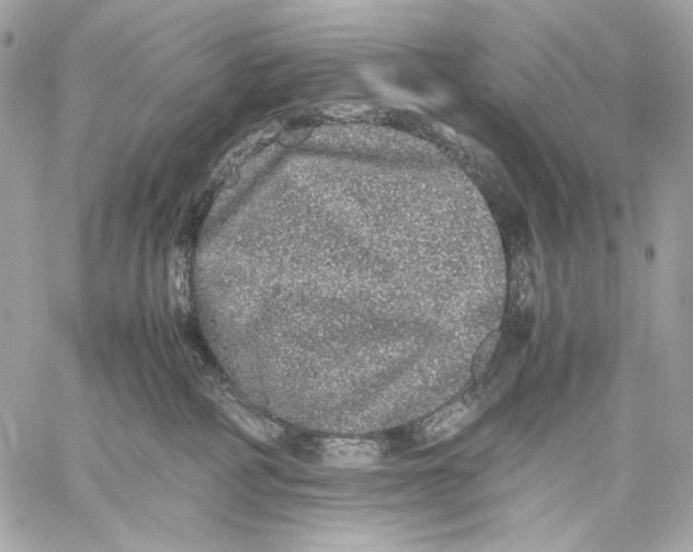 X0000059800234200511111609