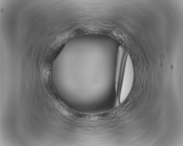 X0000059800235200511111609