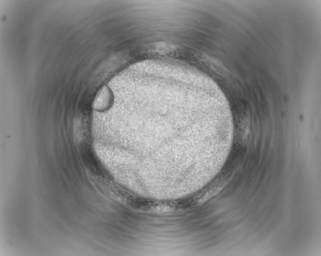 X0000059800236200511111609