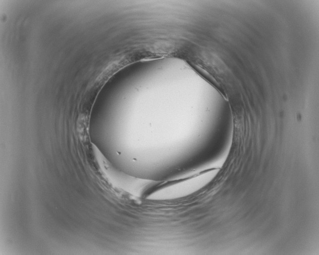 X0000059800237200511111609