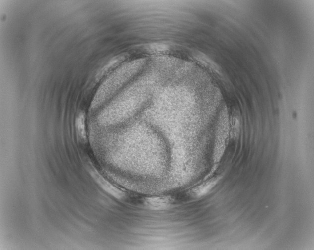 X0000059800238200511111609