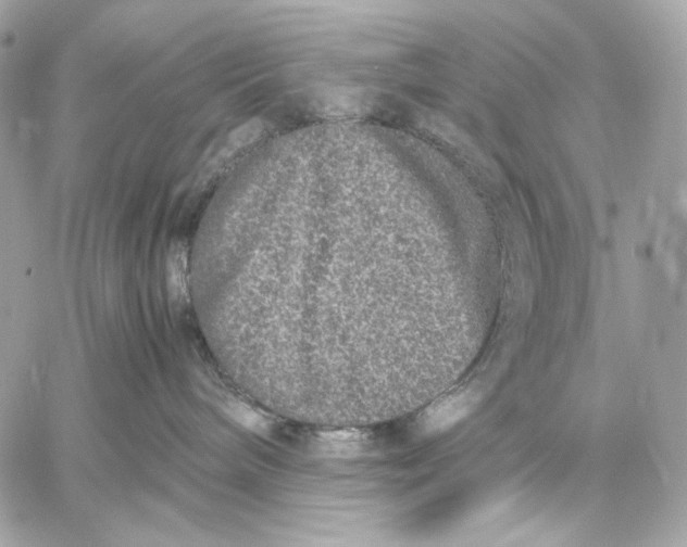 X0000059800240200511111609