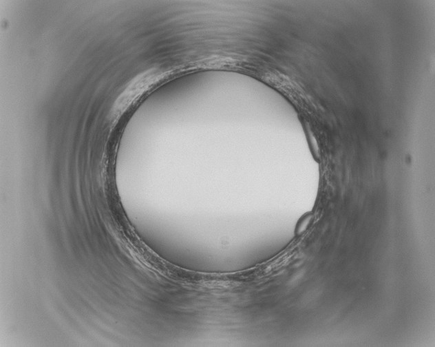 X0000059800242200511111608