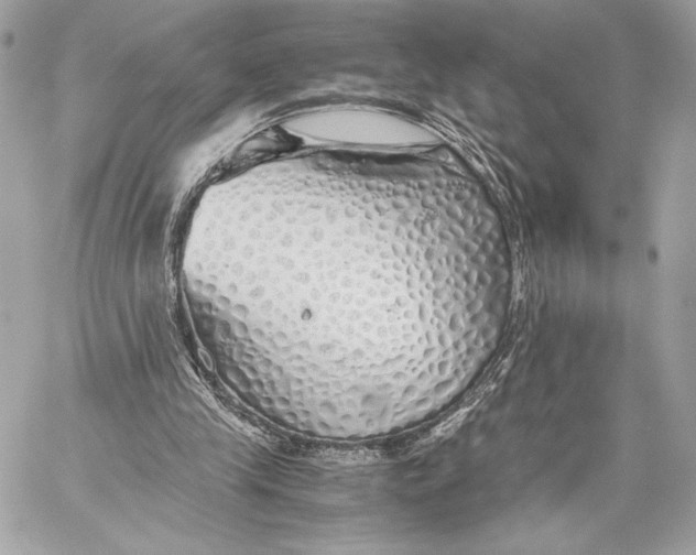 X0000059800245200511111608