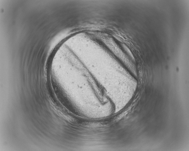 X0000059800246200511111608