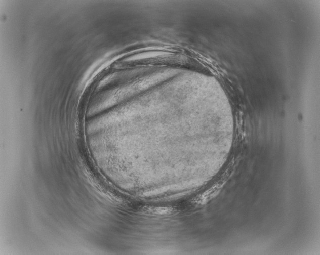 X0000059800247200511111608