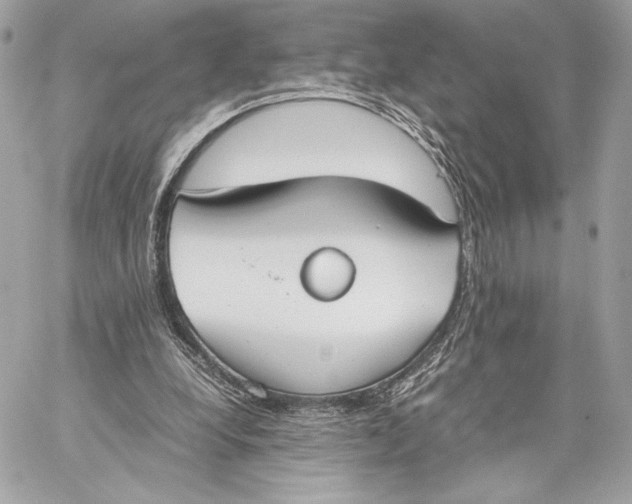 X0000059800248200511111608