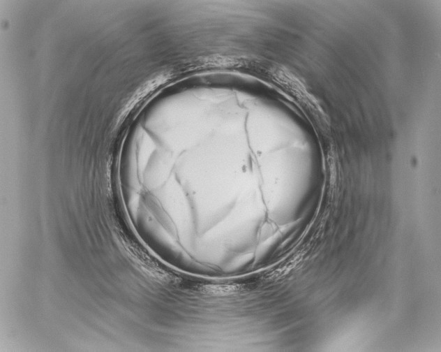 X0000059800250200511111608