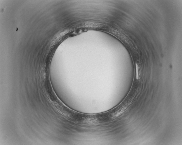 X0000059800252200511111608