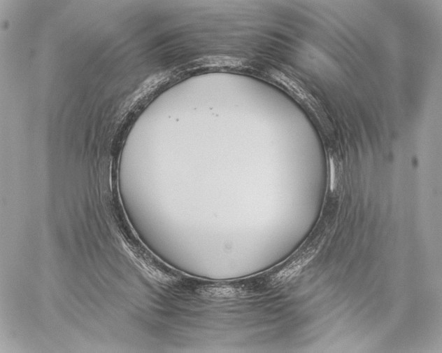 X0000059800253200511111608