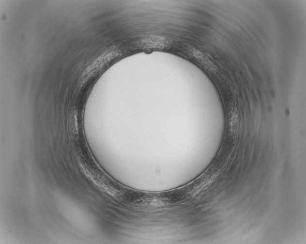 X0000059800254200511111608