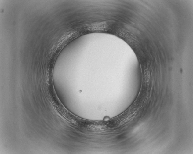 X0000059800255200511111608