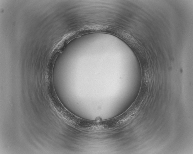 X0000059800256200511111608