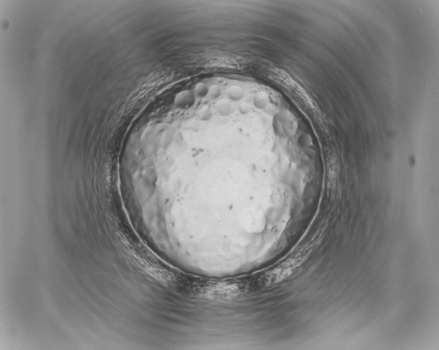 X0000059800257200511111608