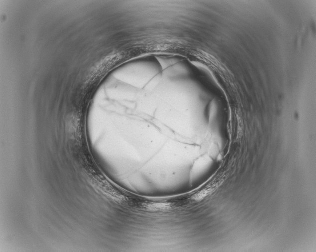 X0000059800258200511111608