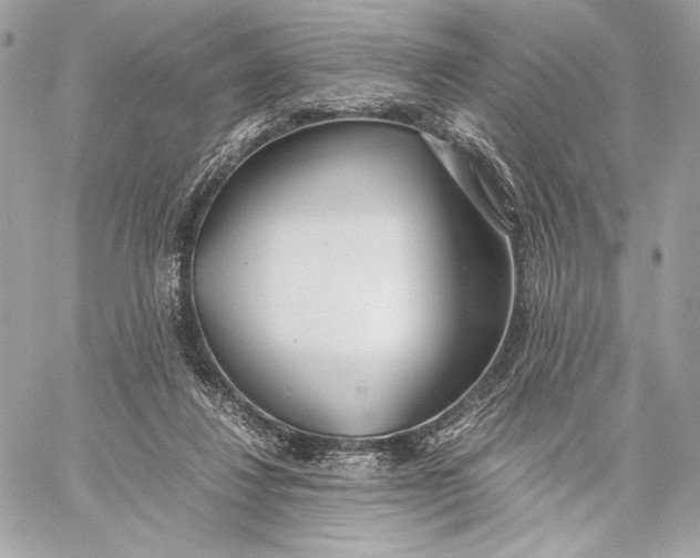 X0000059800260200511111608