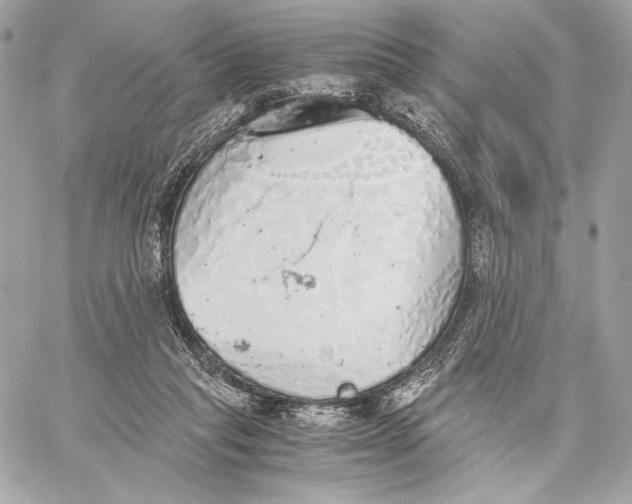 X0000059800261200511111608