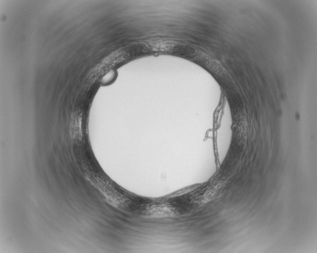 X0000059800262200511111608