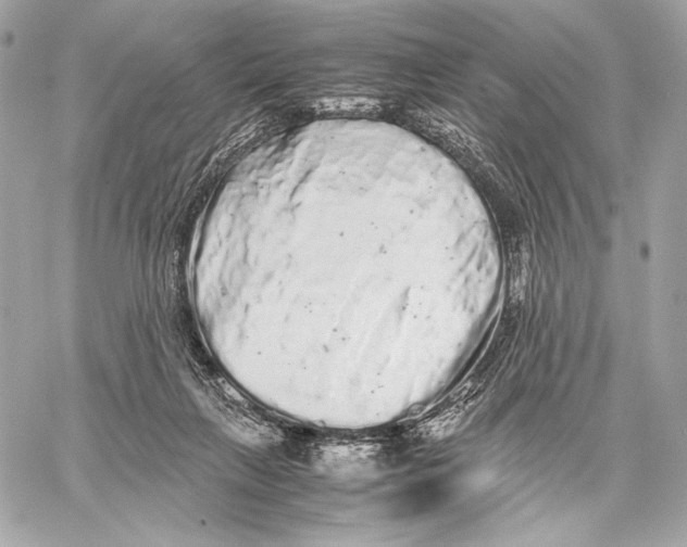 X0000059800263200511111608