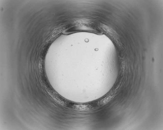 X0000059800265200511111608