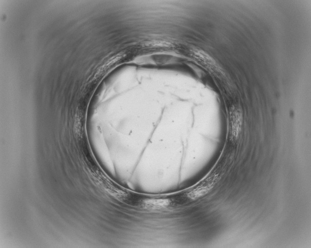 X0000059800266200511111608